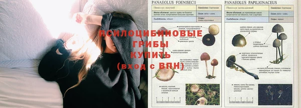 спайс Армянск