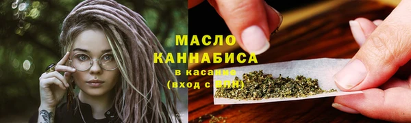 индика Сатка