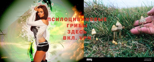 амфетамин Арсеньев