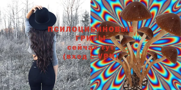 спайс Армянск