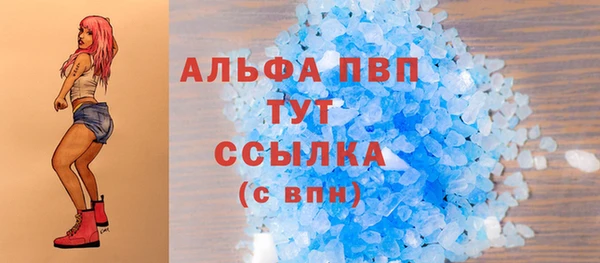 индика Сатка