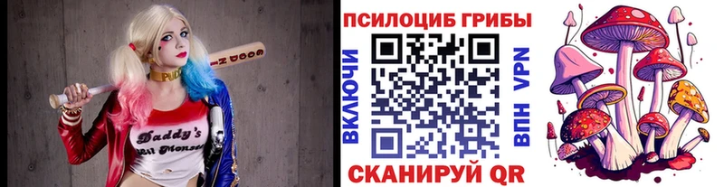 где найти наркотики  Луза  Галлюциногенные грибы мицелий 